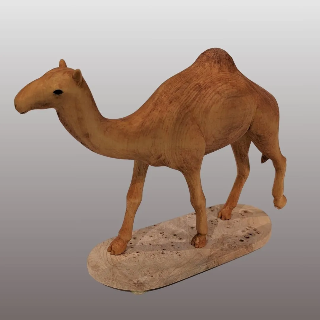 Camel Carving