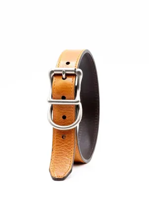 Royal Sporting Dog Collar - Palomino